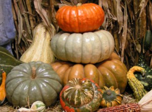 Pumpkin Stack