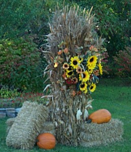 Cornstalk Bundles