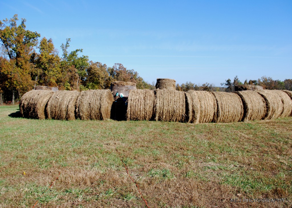 BIG Bale Maze Big Bale Maze